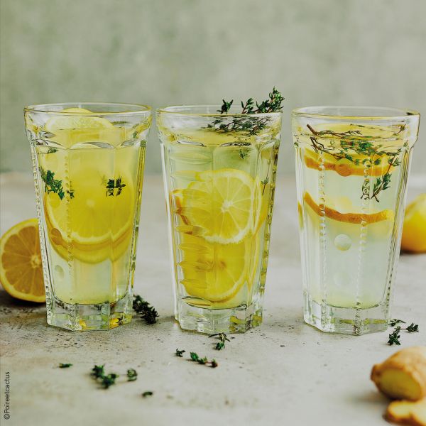 Набор из 4 станков лонгдринг SAGA, La Rochere 640101